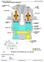 TM1930 - John Deere 200CLC, 230CLC, 270CLC Excavator Diagnostic, Operation and Test Service Manual - 2